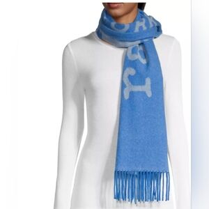 NWT Rag & Bone Addison Blue Scarf
